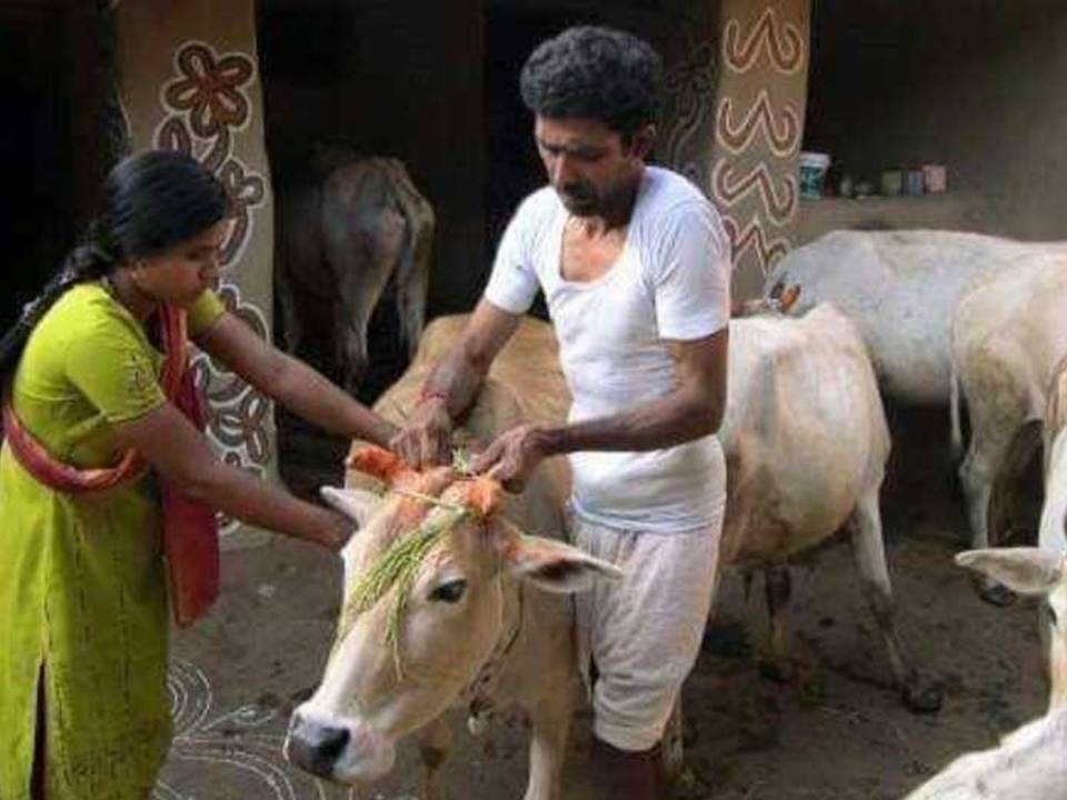 Sohrai Festival